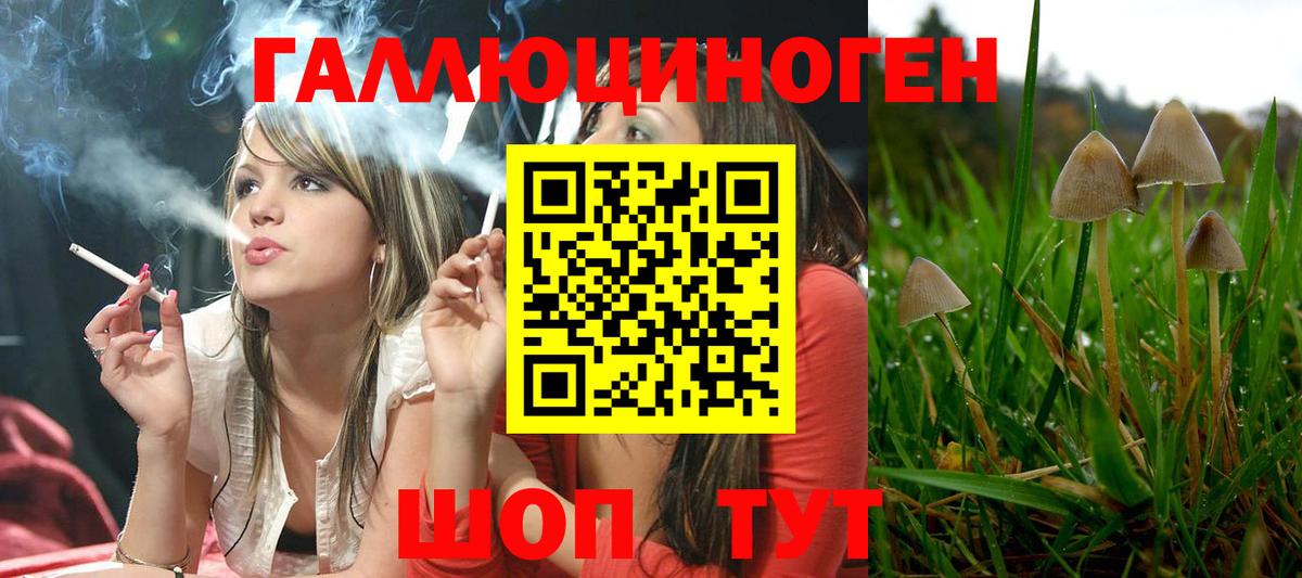Псилоцибиновые грибы Cubensis  Псилоцибиновые грибы Cubensis  Вход с VPN  Бугуруслан 