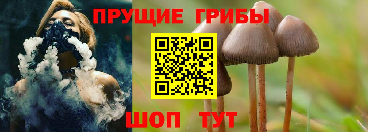 Галлюциногенные грибы Psilocybine cubensis Бугуруслан